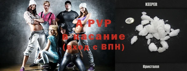 винт Богданович