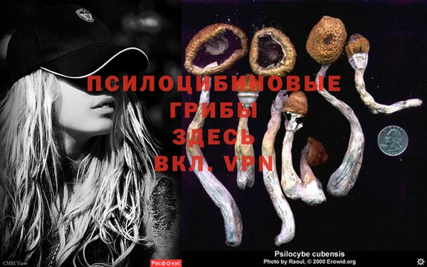 кокаин колумбия Белокуриха