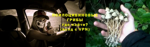 бошки Беломорск