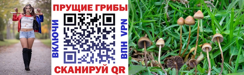 Галлюциногенные грибы ЛСД как найти наркотики KRAKEN ссылки Борисоглебск